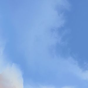 Meet your Posher, Karol